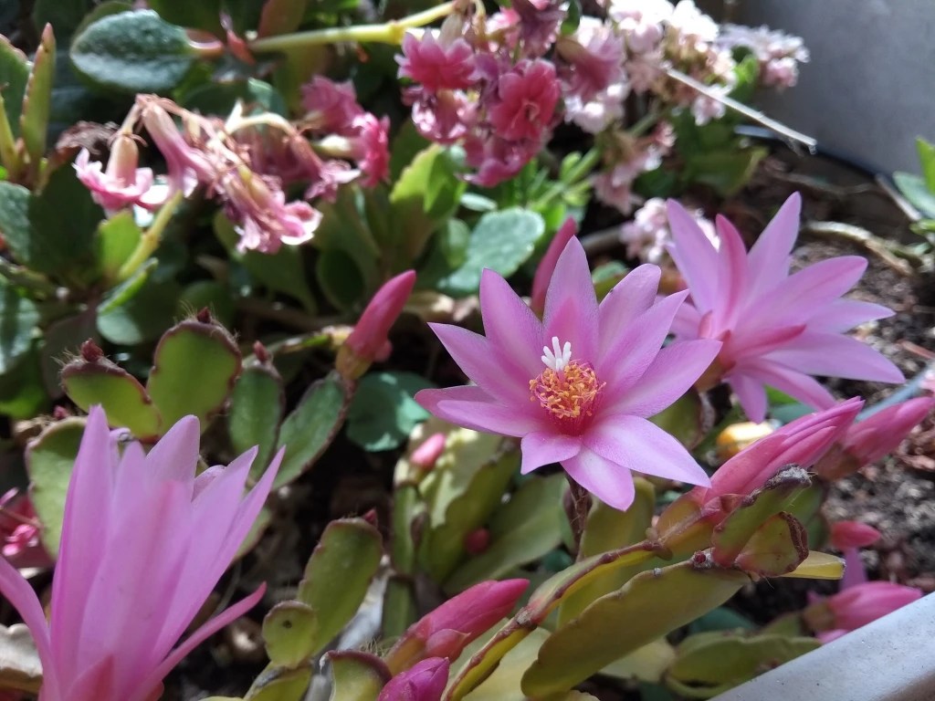 Καλωσορίζουμε τη νέα σχολική χρονιά&nbsp;2023-2024